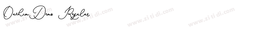 OachimDemo Regular字体转换 OachimDemo Regular字体转换